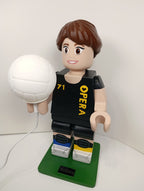 LED volleyball ball
