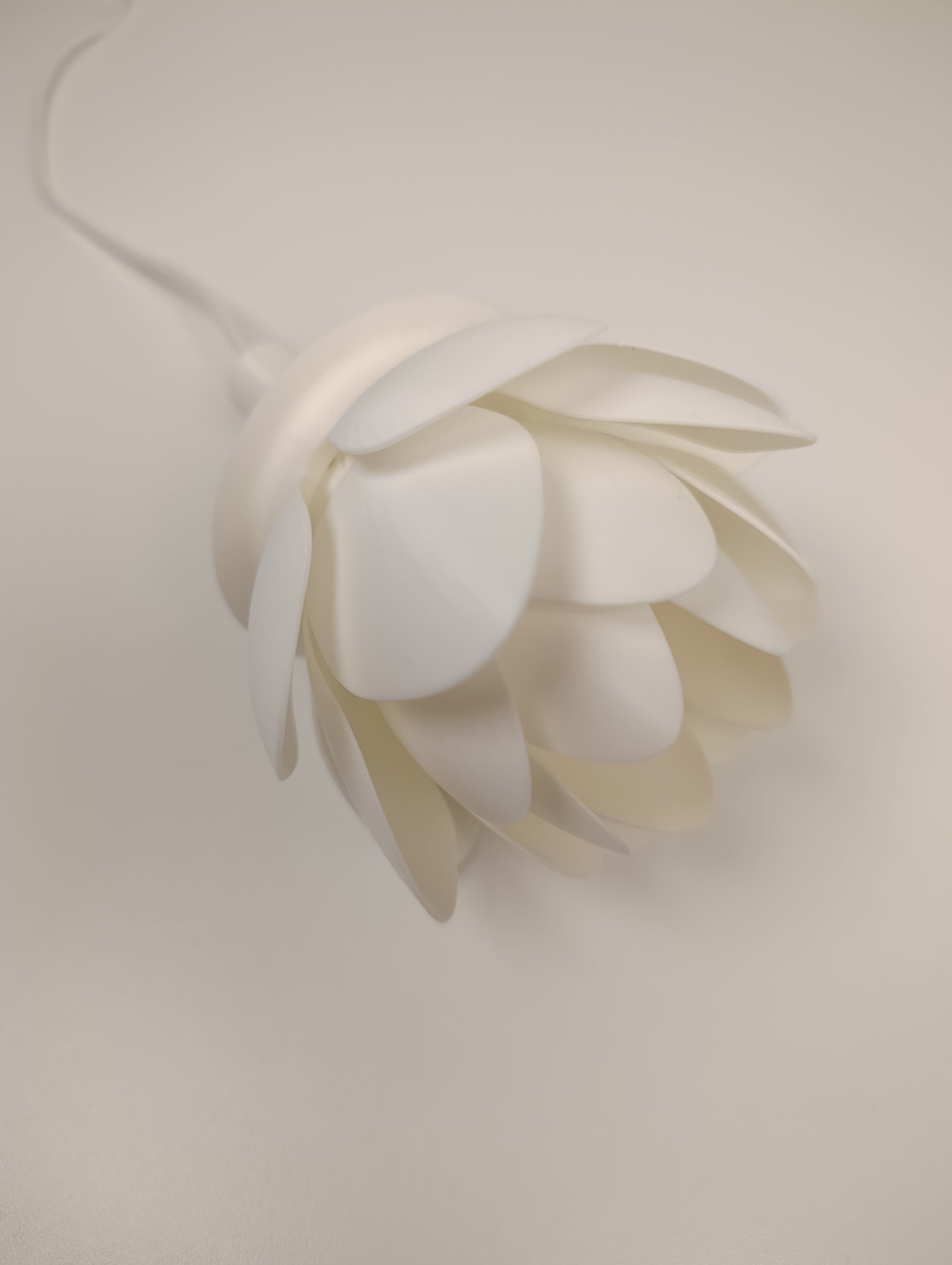 Fiore di Loto