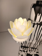 Fiore di Loto