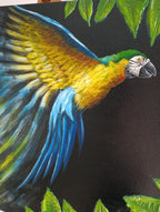 Libertà in volo